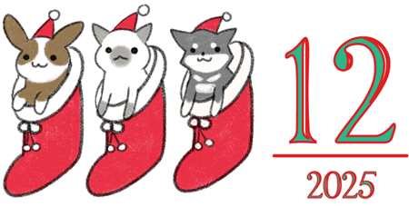 2025年12月アイコン