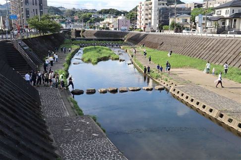 川清掃