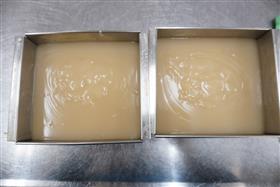 ピーナッツ豆腐型入り写真