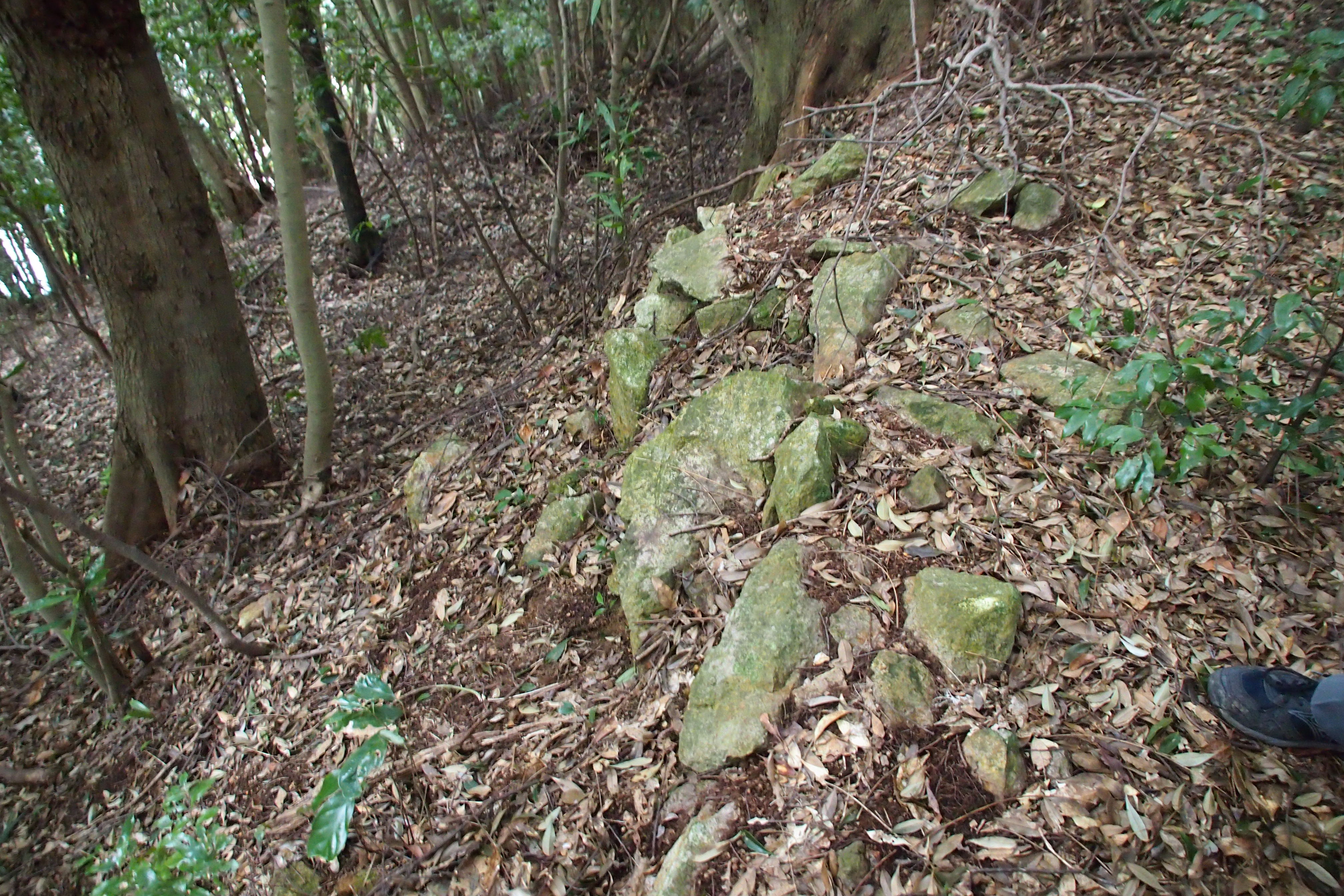 西高田　広場の西側に残る石垣