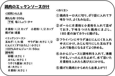 鶏肉のミックンソースがけレシピ